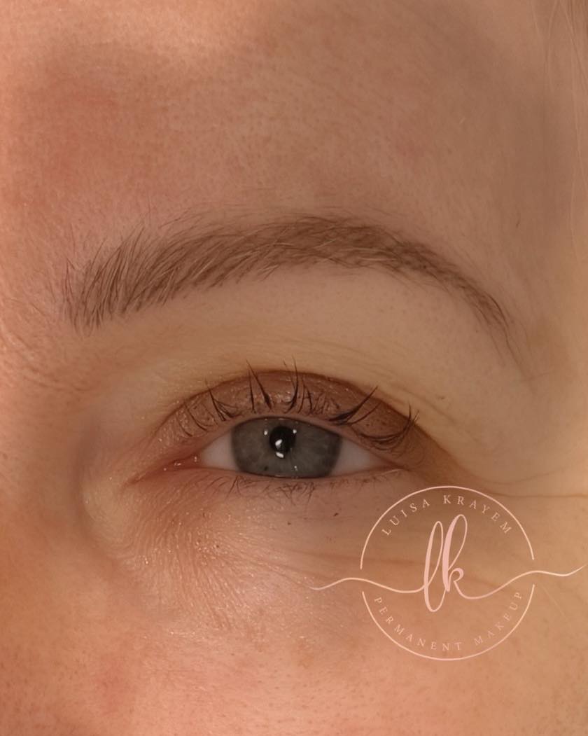 Healed Hairstroke brows